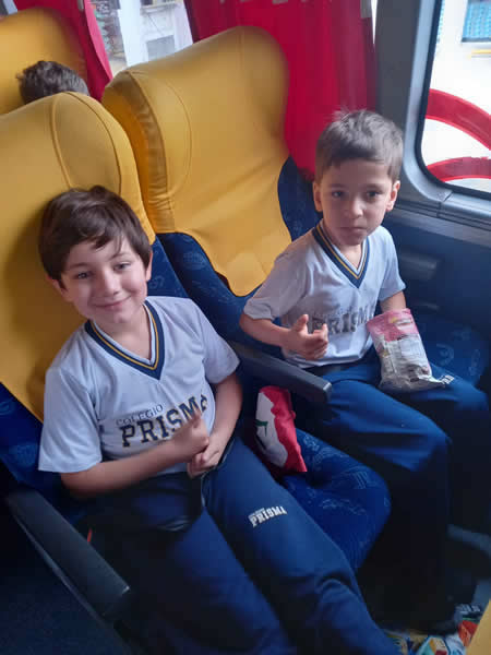Bicho Mania 2022